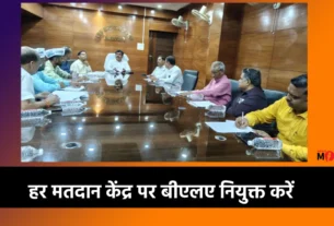 Chief Electoral Officer