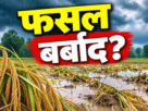 रांची में लगातार बारिश से फसल नुकसान का आकलन करते जिला प्रशासन के अधिकारी