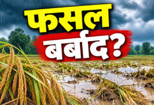 रांची में लगातार बारिश से फसल नुकसान का आकलन करते जिला प्रशासन के अधिकारी